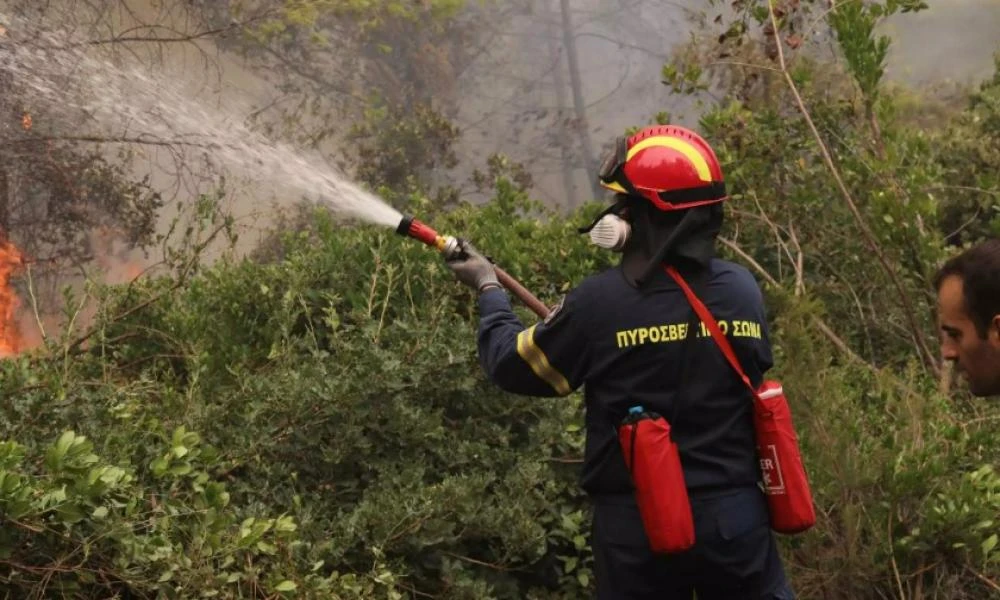 Απίστευτο! Αργολίδα: Έκλεψαν πυροσβέστες την ώρα που έδιναν μάχη με τη φωτιά
